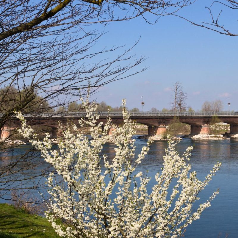 2-BK-Studio-Lupi-Federica